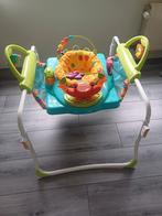 Jumperoo eerste stapjes. Merk fisher price, Ophalen, Zo goed als nieuw, Met geluid