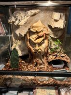 Exoterra terrarium 45x45x60h, Ophalen