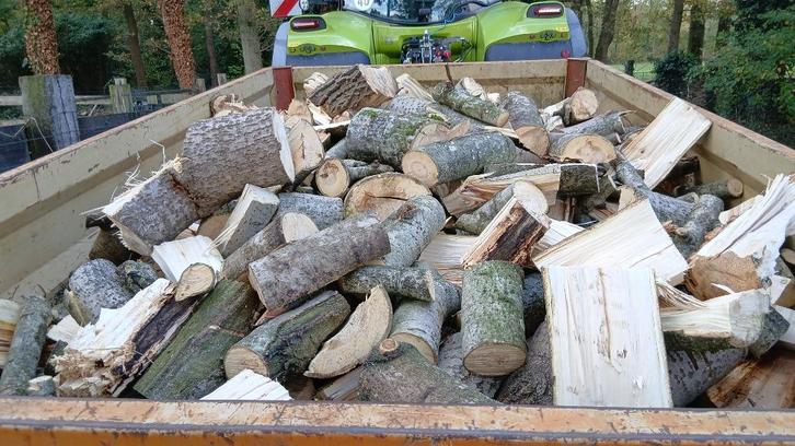 Brandhout, Tuin en Terras, Brandhout, Blokken, Eikenhout, 6 m³ of meer, Ophalen of Verzenden