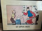 Blauwe lotus, Ophalen
