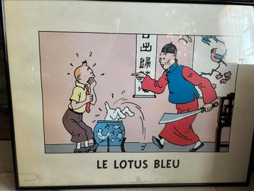 Blauwe lotus beschikbaar voor biedingen