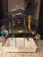 Het is een vogel kooi een grote kooi met genoeg ruimte voor, Dieren en Toebehoren, Ophalen, Zo goed als nieuw