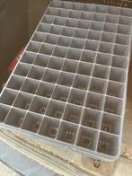 Stekplaat tray plantplaat zaaiplaat 77 gaten, Tuin en Terras, Kunststof, Zo goed als nieuw, Rechthoekig, Tuin