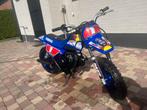 Pw 50cc, Motoren, Particulier