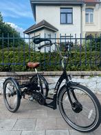 Tricycle à assistance électrique - Easy Rider Proxy, Vélos & Vélomoteurs, Comme neuf