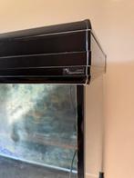 Aquarium  te koop, Dieren en Toebehoren, Vissen | Aquaria en Toebehoren, Ophalen, Gebruikt, Leeg aquarium