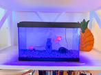 Visaquarium, Dieren en Toebehoren, Vissen | Aquaria en Toebehoren, Ophalen, Zo goed als nieuw