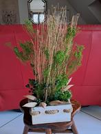 Montage fleurs sechees, Huis en Inrichting, Woonaccessoires | Droogbloemen, Ophalen, Nieuw