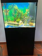 Aquarium met alle toebehoren, Dieren en Toebehoren, Ophalen