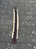 Singel kentucky, Dieren en Toebehoren, Ophalen, Gebruikt