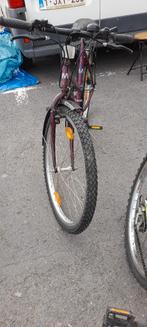 Vtt adulte de promenade, Enlèvement, Utilisé, Femmes, Autres marques