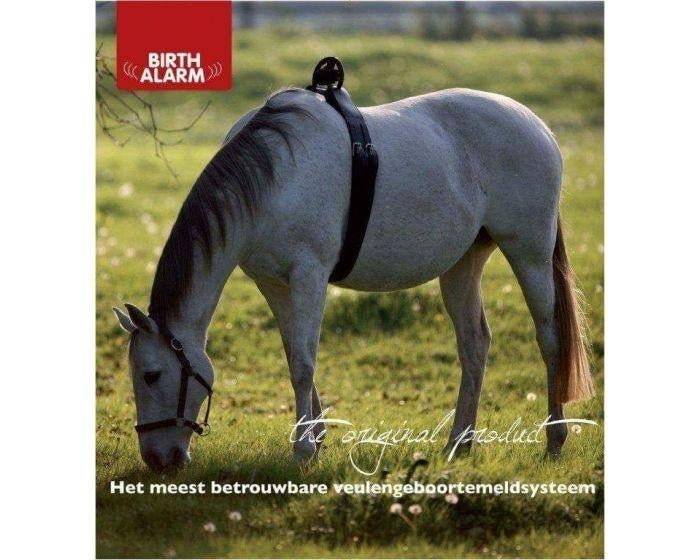 Birthalarm te huur, Enlèvement