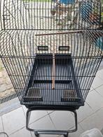 Vogelkooi, Ophalen, Vogelkooi