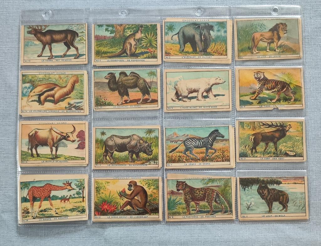 Chromos chocolats Jacque, Collections, Marques & Objets publicitaires, Enlèvement ou Envoi, Utilisé, Autres types