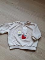 Trui, Kinderen en Baby's, Babykleding | Maat 80, Gebruikt, H&M, Ophalen of Verzenden, Truitje of Vestje