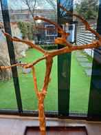 Javaboom, Dieren en Toebehoren, Ophalen, Zo goed als nieuw