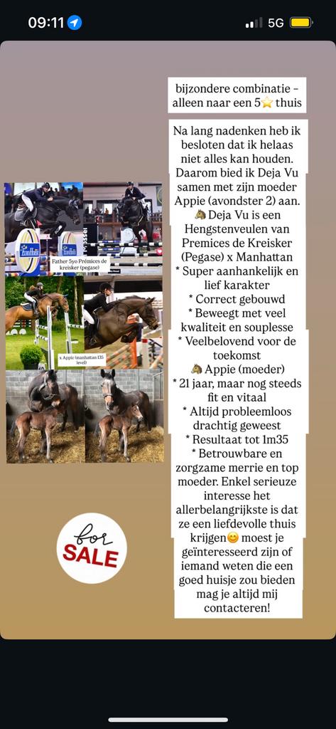 Interessante fokmerrie met hengsten veulen, Animaux & Accessoires, Chevaux & Poneys | Étalons & Juments poulinières, Jument