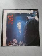 Dead Or Alive : Brand New Lover (12"), Cd's en Dvd's, Vinyl | Dance en House, Ophalen of Verzenden