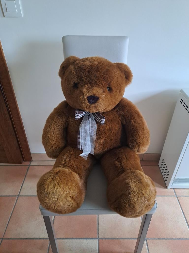 Knuffelbeer, Enlèvement