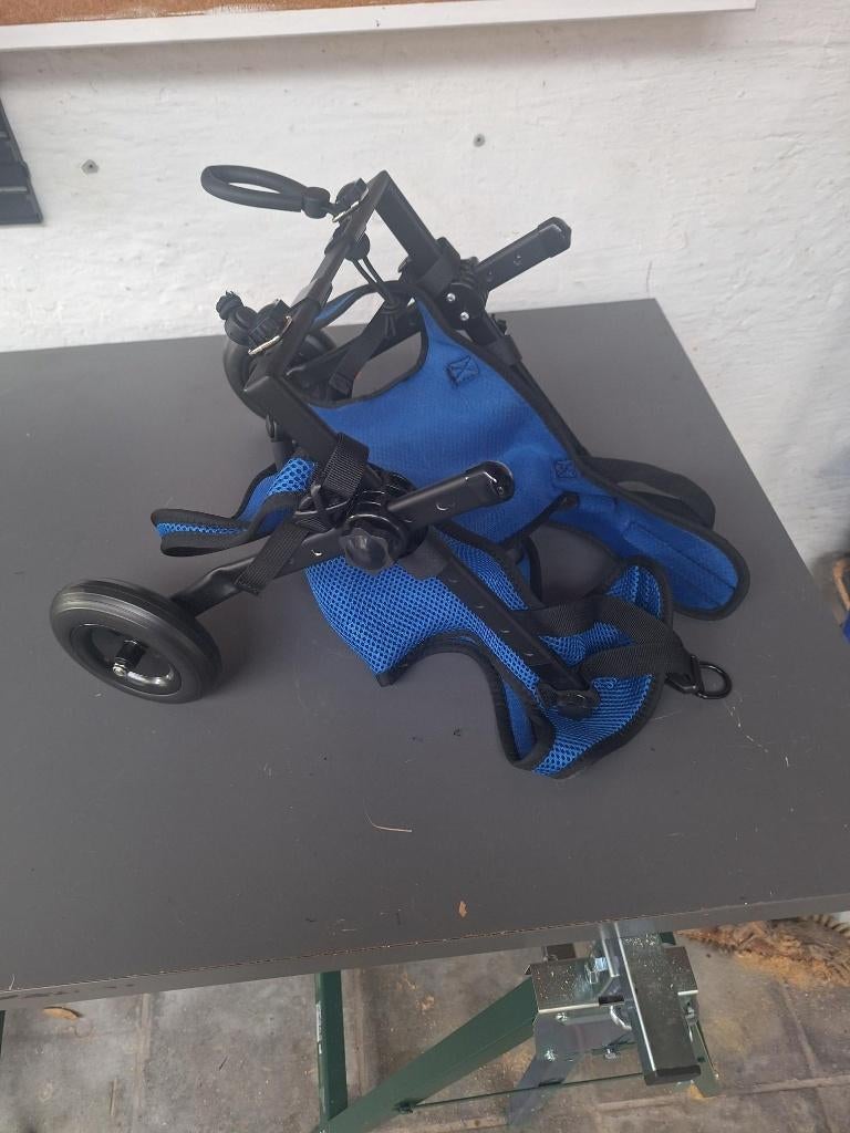 DIEREN, Ophalen, Zo goed als nieuw, Honden