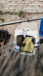 Cage de transport avion chien, Enlèvement