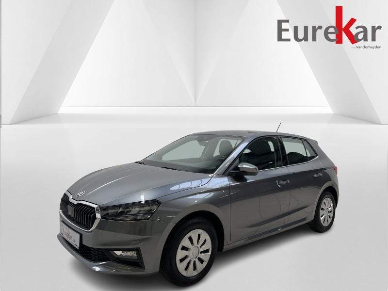 Skoda Fabia 1.0 TSI Family, Argent ou Gris, Achat, Euro 6, Noir