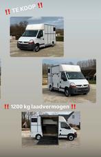 Paardencamionette Renault Master, Dieren en Toebehoren