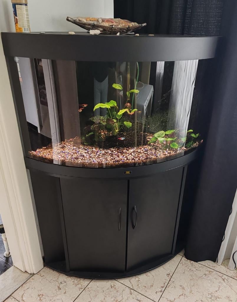 un très bel aquarium avec support, Enlèvement, Poissons inclus, Filter