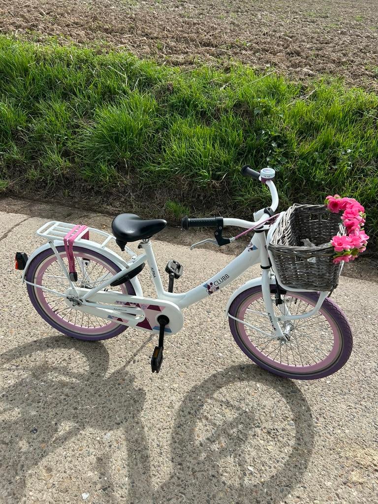 Fiets in goede staat, Ophalen, Zo goed als nieuw, 20 inch