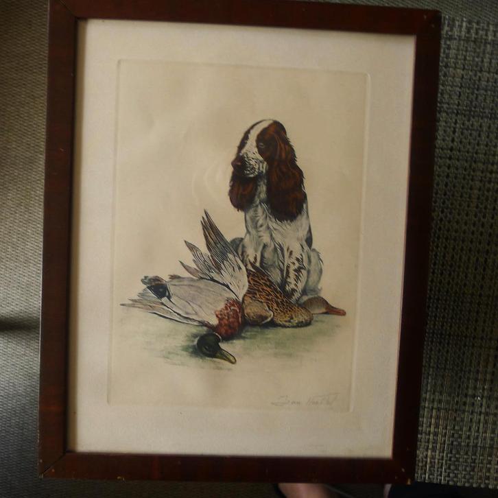 Gravure Jean Herblet Setter en eend, Verzamelen, Foto's en Prenten, Prent, Ophalen of Verzenden