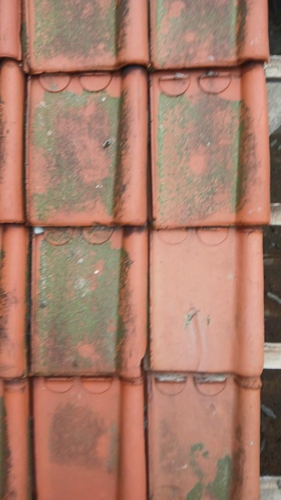 Dakpannen, Doe-het-zelf en Bouw, Dakpannen en Dakbedekking, Ophalen, Dakpannen