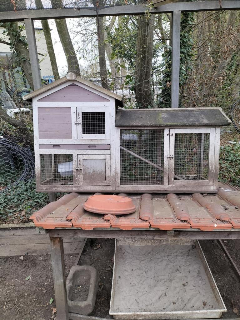 Konijnenhok kip met kuikenhok gratis drink fles en voerbak, Dieren en Toebehoren, Pluimvee | Toebehoren, Ophalen