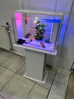 Aquarium met kast, Enlèvement, Comme neuf