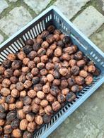 noten, Diversen, Ophalen