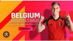 2 tickets match Belgique Monténégro stade Bruxelles 5 juin, Tickets & Billets, Sport | Autre