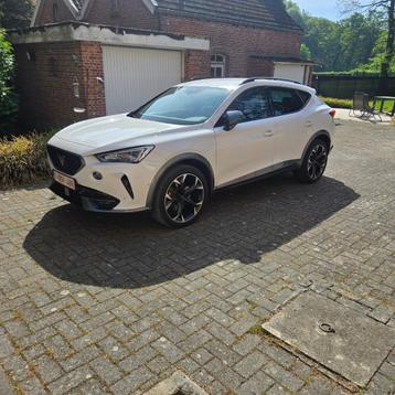 Cupra Formentor 1.5 TSI aut. trekhaak,19",dakdragers, .. beschikbaar voor biedingen