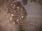 Bois cerisier à donner, Tuin en Terras, Brandhout, Ophalen, Overige houtsoorten, Blokken