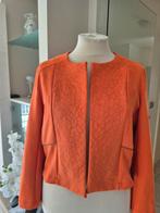 CASSIS damesvestje, Vêtements | Femmes, Vestes & Costumes, Enlèvement ou Envoi, Comme neuf, Taille 46/48 (XL) ou plus grande
