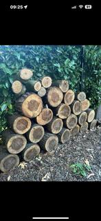 Eik kastanje en mast hout, Tuin en Terras, Brandhout, Ophalen
