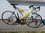 Koersfiets Campagnolo ALu, Fietsen en Brommers, 28 inch, Gebruikt, Heren, Aluminium