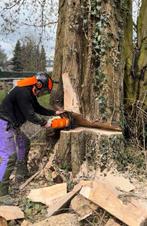 Jardinier grimpeur élagueur abattage d'arbre, Enlèvement