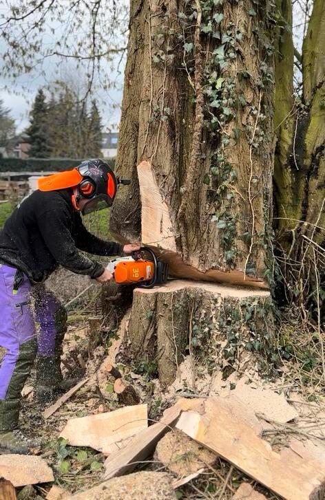 Jardinier grimpeur élagueur abattage d'arbre, Jardin & Terrasse, Bois de chauffage, Enlèvement
