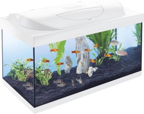 Nouvel aquarium Tetra Starter Line blanc 54 litres 61x35x31c, Animaux & Accessoires, Poissons | Aquariums & Accessoires, Neuf