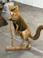 Taxidermie vos, Ophalen