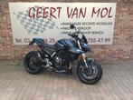 Suzuki GSX8S, 2024, Motoren, 4 cilinders, Motorrijbewijs A, Bedrijf, Meer dan 35 kW