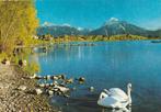 ZWANEN  BERGSEE, Verzamelen, Postkaarten | Dieren, Verzenden, 1980 tot heden, Gelopen, Vogel