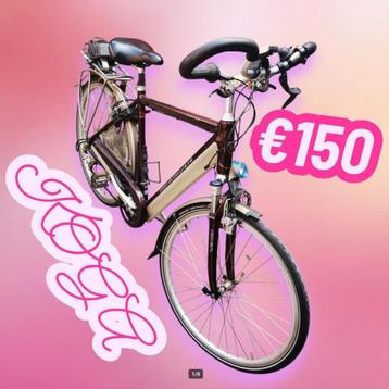 koga miyata beschikbaar voor biedingen