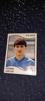 Panini/Sticker/Cedomir Janevski / Club Brugge / 1990, Verzenden, Zo goed als nieuw, Poster, Plaatje of Sticker