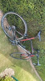 Pinarrello, Fietsen en Brommers, Fietsen | Oldtimers, Ophalen
