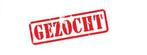 Gezocht holo en ex kaarten destined rivals pokemon, Ophalen of Verzenden, Meerdere kaarten